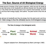 FPS source of all energy diagram