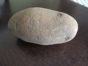 Bad picture of a potato.