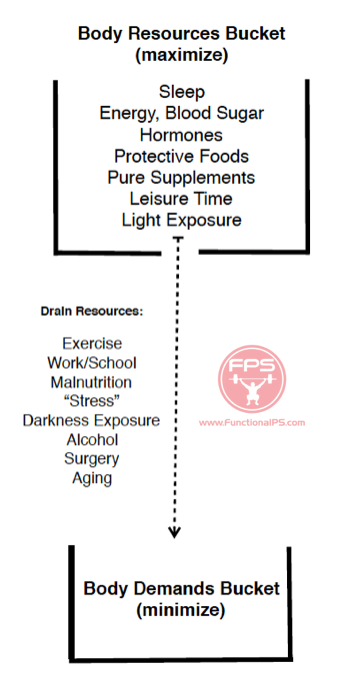 Bodily Resources vs Demands